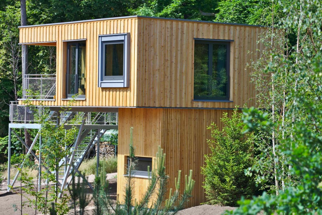 Baumwipfel-Resort "Lug Ins Land" Ilsenburg Esterno foto